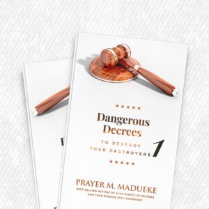 Dangerous Decrees to Destroy Your Destroyers (EBook Bundle) by Prayer M. Madueke