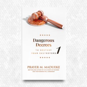 Dangerous Decrees to Destroy Your Destroyers (Book 1) by Prayer M. Madueke