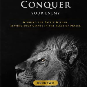 Confront and Conquer your Enemy (Book 2)