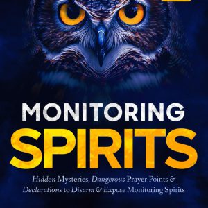 Monitoring Spirits